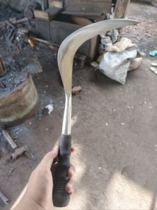 Sabit/mandeng/ pembasmi rumput gajah/kokoh/tahan lama.