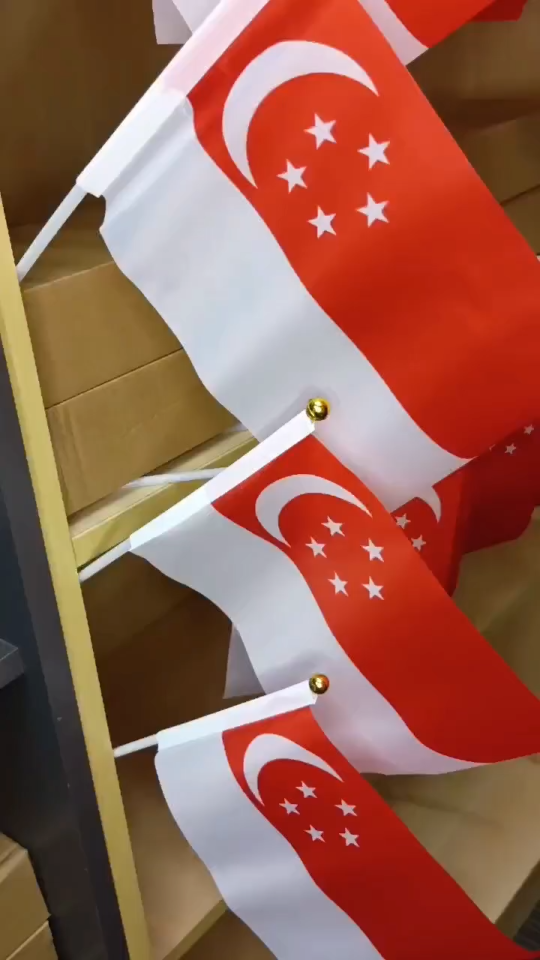 14*21cm Singapore Waving Hand Flag NDP Plastic Cloth National Day Celebration Mini Flag Red White