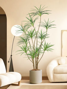 LIANYOU | High-end Luxury Artificial Plant Cycas