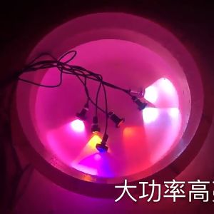 Lampu Led Mata Elang baud 23mm