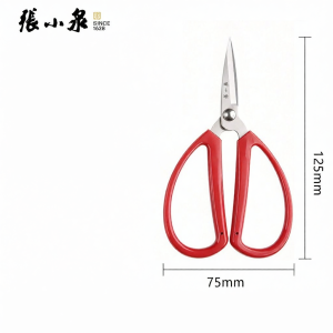 Zhang Xiaoquan | Stainless Steel Pointed Scissors