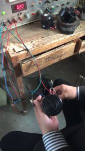 Talking Back Up Horn Auto Voltage 12V/24V Speaking in English