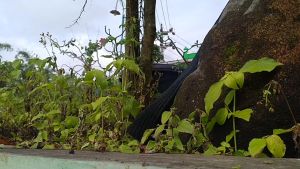 Mesin Giling Serbaguna: Mesin Giling Daging Manual No.12