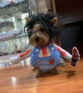 DUDU Pet Funny Dog Clothes Halloween Dogs Cosplay Costume Comical Outfits Cats Clothes Set Bulldog Teddy Xmas Festival Party Clothing