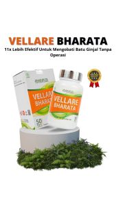 Obat Batu Empedu Tanpa Operasi Penghancur Batu Ginjal Obat Kencing Batu Paling Ampuh Vellare Bharata