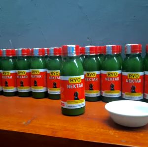 RYO NEKTAR 140 ML Nectar Kolibri Konin Sogon Sunbird
