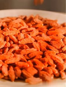 Goji Berry Ki Chi Kiche Kie Che Ki Ci Ko Ki Wolfberries Premium Quality