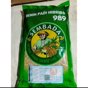 (1kg) Benih Padi Hibrida Sembada 989 Original berkualitas