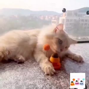SKISOPGO Cat Mint Ball Toy with Spring Self Indulgence Grinding Teeth Cleaning Cat Snack Treats Toy Ball