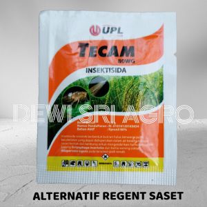 INSEKTISIDA TECAM 80 WG MIRIP REGENT SASET