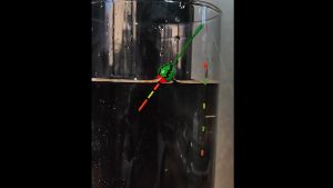 ลดลึก ทุ่นตกปลา ทานาโกะ แตงโมๆ น่ารัก ทุ่นตกปลาเล็กๆ ตกกูง