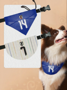 LEXI | Soccer Fan Pet Bib Triangle Scarf