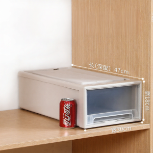 QIANQIN | Transparent Plastic Clothes Storage Box