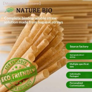 【M】Eco-Friendly Plant-Based Sugarcane Fiber Straws Set Biodegradable Plastic-Free For Hot Cold Drinks Disposable Straw