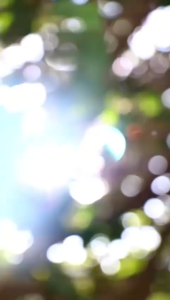 GLAD2GLOW Peeling Gel Apricot Exfo Smooth Eksfoliasi peeling(orange panjang)