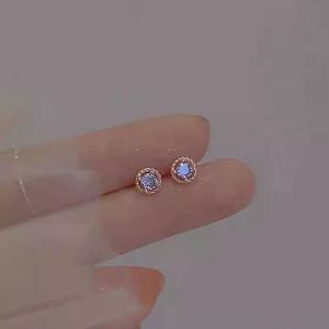 Mini round Purple Zircon S925 Silver Needle Earrings Womens Elegant Simple Luxury Ear Jewelry Fashionable Korean Style