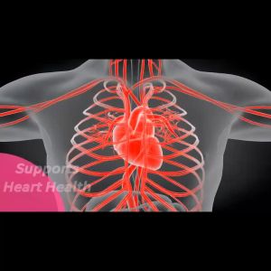 SNGHWE Organic COQ10 Coenzyme Q10 Capsules Promotes Cardiovascular Low Blood Sugar Level Health Heart Provides Energy for Overall Health