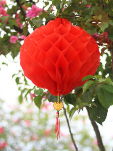 2025 Snake Year Spring Festival Activity Scene Atmosphere Decoration Honeycomb Plastic Paper Folding Lantern Red Small Lantern