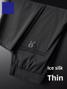 ROMON | Lormen Ice Silk Mens Summer Thin Quick Dry Slim Fit Straight Leg Elastic Waist Sports Long Pants Fashionable Casual Trousers