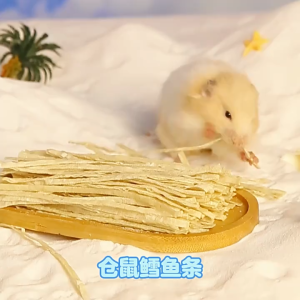 mực sợi sấy - cá sợi sấy -  món ngon cho hamster / sóc - T3 PETS SHOP