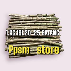 BIBIT TUA SINGKONG/TELO PAPUA PAKAN TERNAK PER KILO
