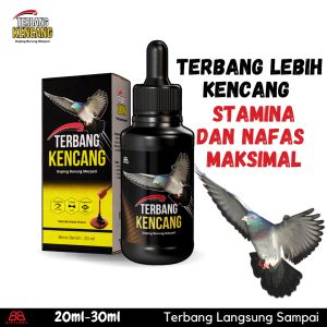 Terbang Kencang Doping burung merpati balap meja dan kolongan memperkuat setamina saat terbang