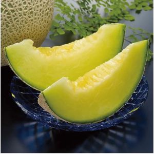 benih melon f1 super lokal 200biji terlaris cepat tumbuh