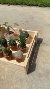 ชั้นวางแคตตัส และต้นไม้เล็ก ทำจากไม้แท้ มีหลายแบบให้เลือก