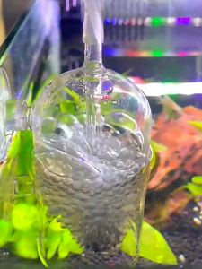 Chụp thủy tinh sủi oxy chống văng nước oxy hòa tan bể cá tép thủy sinh cảnh store