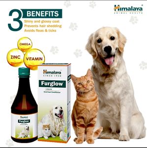 Himalaya Furglow Fix Skin Problems In Dog And Cats skin And Coat Oral Tonic 400ML