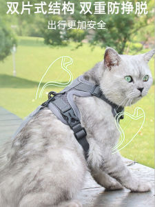 FengCao Cat Leash Vest Style Outdoor Walking Harness Non-Slip Short Hair British Cat Toy Carrier Leash Cat Chain Pet Supplies