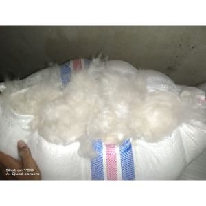 5KG kapuk randu grade A kualitas super bersih putih tanpa biji