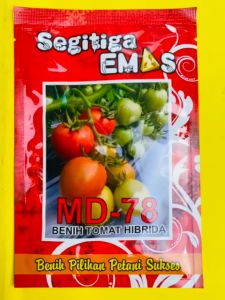 Benih Tomat Hibrida MD-78 isi 5 gr dari SEGITIGA EMAS
