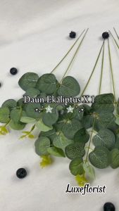 Daun Eucalyptus Tahan Lama & Eukaliptus Satuan X1