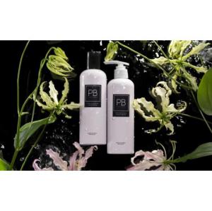 【Direct from Japan】LOVECHROME P.B. Professional Shampoo 400ml Treatment 400g Refill