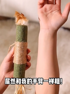 SG Cat Molar Stick Cat Toy Self-Happy Relieving Boredom Teasing Cat Stick Scratch-Resistant Catnip Ball Cat