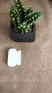 DOORS AND WINDOWS ENTRY ALARM