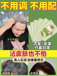 Natural Plant-Based Bubble Hair Dye for Men And Women Hair Coloring Agent Non-Stick to Scalp Professional Salon Brand