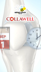 COLLAWELL® Collagen Plus Powder (6g x 30 sachets) | Solution for Joint Support