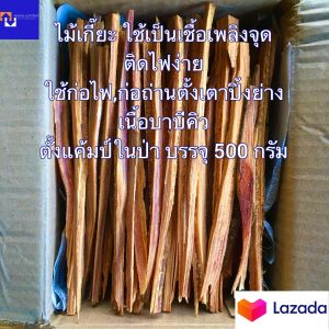 ไม้เกี๊ยะจุดไฟ🔥500กรัม พร้อมใช้ได้เลย สะดวกรวดเร็วในการก่อไฟ พกพาเดินป่าตั้งแคมป์ ⛺️ตั้งเตาปิ้งย่างบาบีคิว อุปกรณ์ทำอาหารก่อไฟ