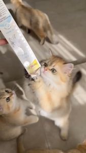 Gel dinh dưỡng Gimcat cho mèo bổ sung vitamin- tiêu búi lông - hỗ trợ tiết niệu tiêu hóa - giảm căng thẳng