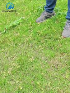 สมอบกเหล็กหล่อ ยาวพิเศษ 20cm、30cm、40cm สีดำ หนา10mm พร้อมส่ง!!!