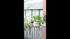 YOlanda  ที่แขวนกระถางต้นไม้แบบเหล็ก ที่วางกระถางดอกไม้แบบแขวน flower stand