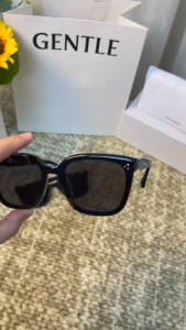 GENTLE MONSTER Zeiss Lens Palette Shades For Women Korean Fashion Small Frame Polarized Sunglasses For Beach Original Brand Sunny Protection With Case