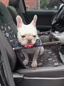 HATELI Ghế ô tô cho chó con ghế nâng di động cho chó mèo kèm dây an toàn kẹp và ống đỡ PVC chống sập hoàn hảo cho thú cưng nhỏ