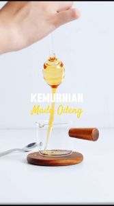 Madu Hutan Murni Tanpa Campuran Kemasan 500gram Botol Marjan Plastik