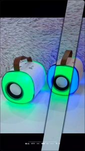 V2S KT5 Mini Karaoke Portable Speaker Wireless with RGB LED Lights and Microphone Changing Voice Sound