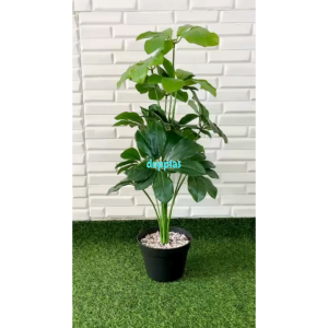 Pohon Artifiocial Tanaman Hias Daun Walisongo X12 Semilatex Pot Dasar Hitam Dekorasi Cafe Hiasan Rumah