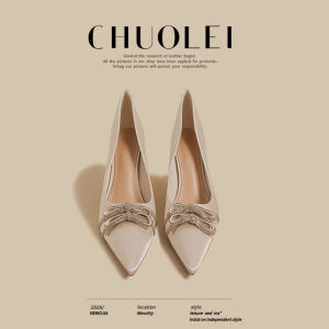 CHUOLEI | French Silk Summer Fashion Slip-on Popular Office Mary Jane Low-cut High Heels Women White