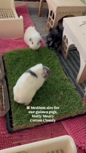 ✅[SG] REAL Natural Grass Enrichment Mat for Rabbits Guinea Pigs & Hamsters | Real Grass Play Mat | 30 × 45cm